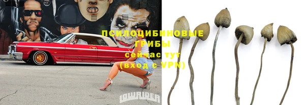 метамфетамин Алексеевка