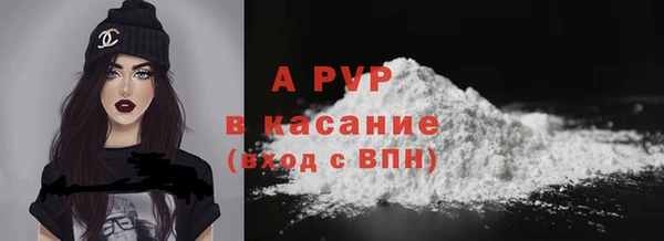 СК Ступино