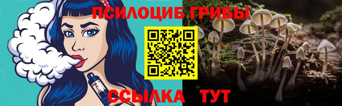 Урюпинск  Галлюциногенные грибы Psilocybine cubensis  Вход с VPN 